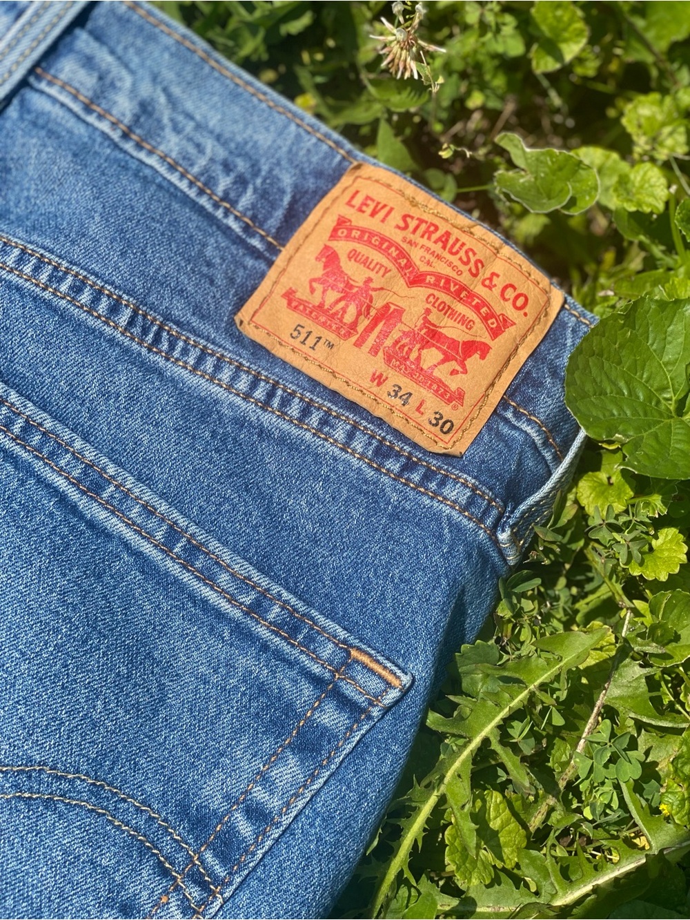 Levi's - Picture 5 of 5